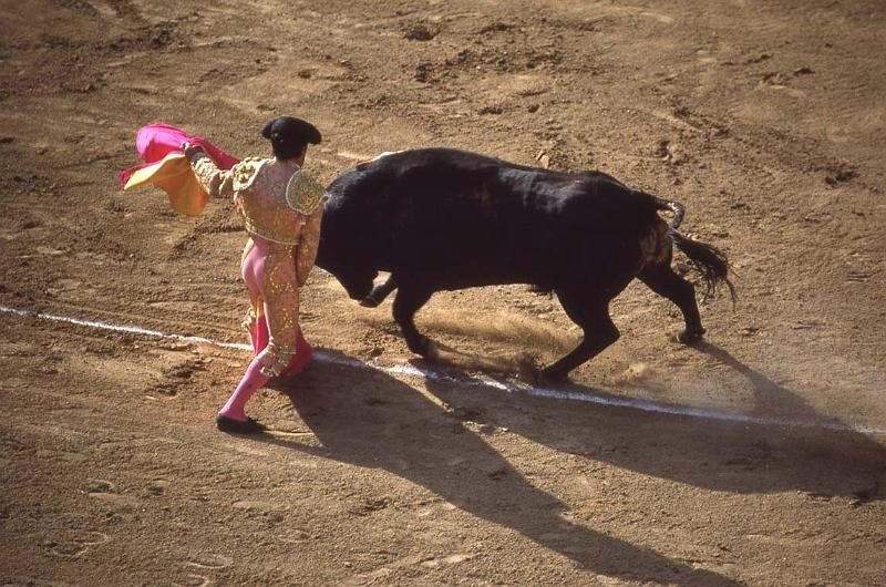 RWT 0252 309-24 Spain Bullfight.jpg